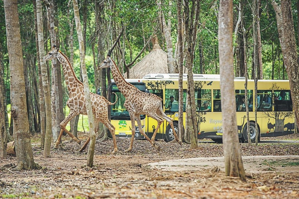 珍珠野生動物園3.jpg