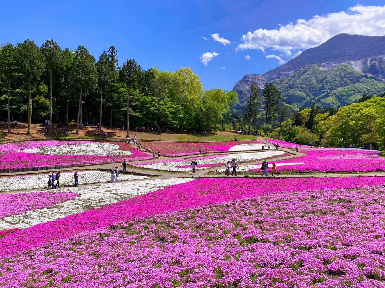羊山22.jpg