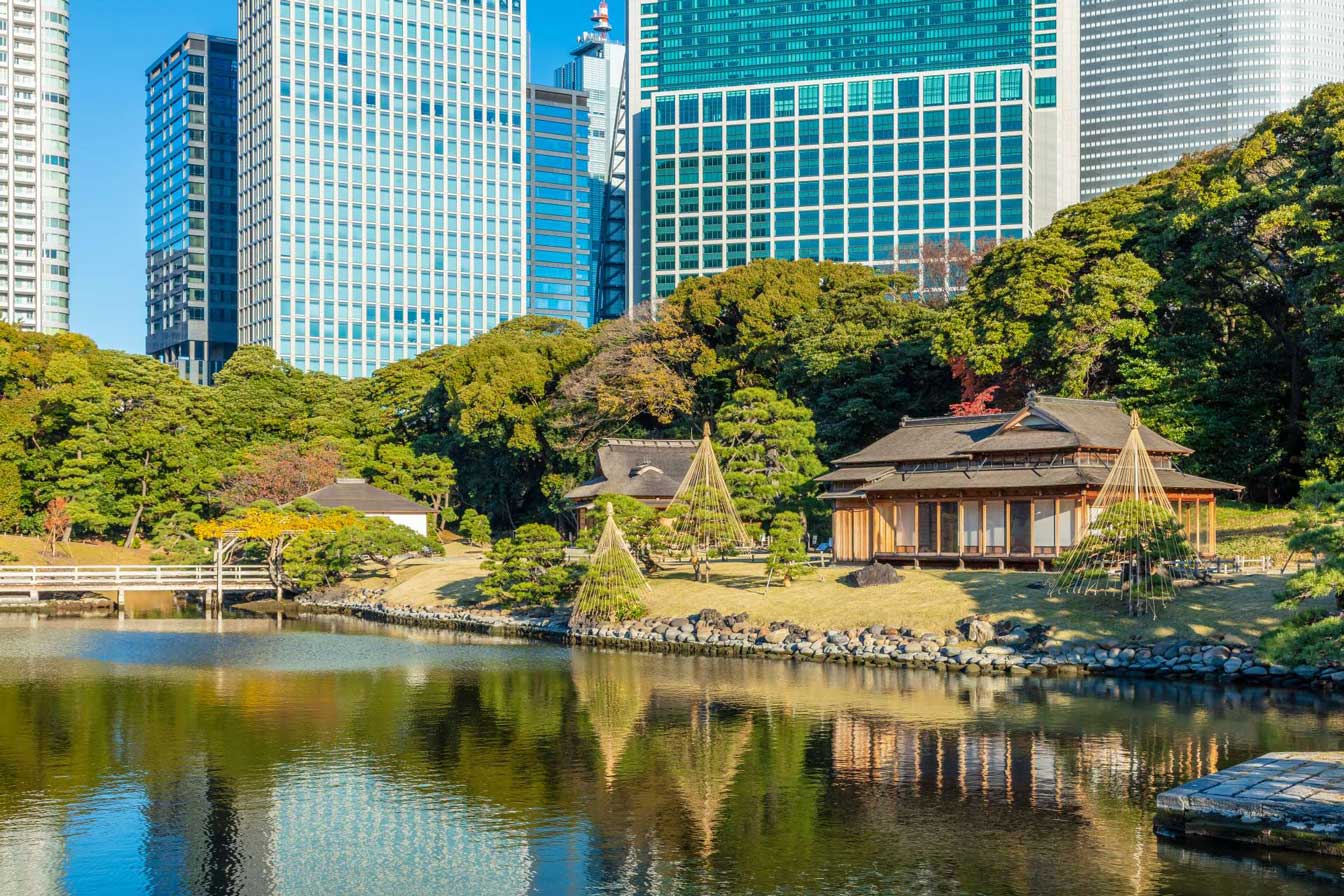 濱離宮恩賜庭園.jpg